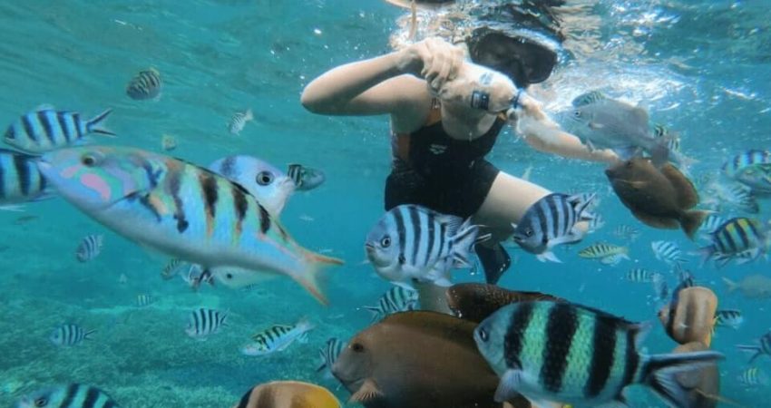 paket-nusa-penida-snorkeling-2
